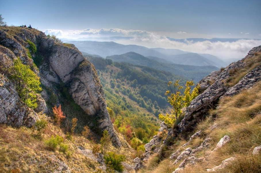 Homoljski Pogled Banja Ždrelo Exterior foto